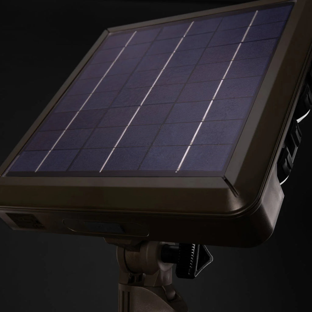 Titan Solar Light, 3,500 Lumen, Freestanding, 12 Inch